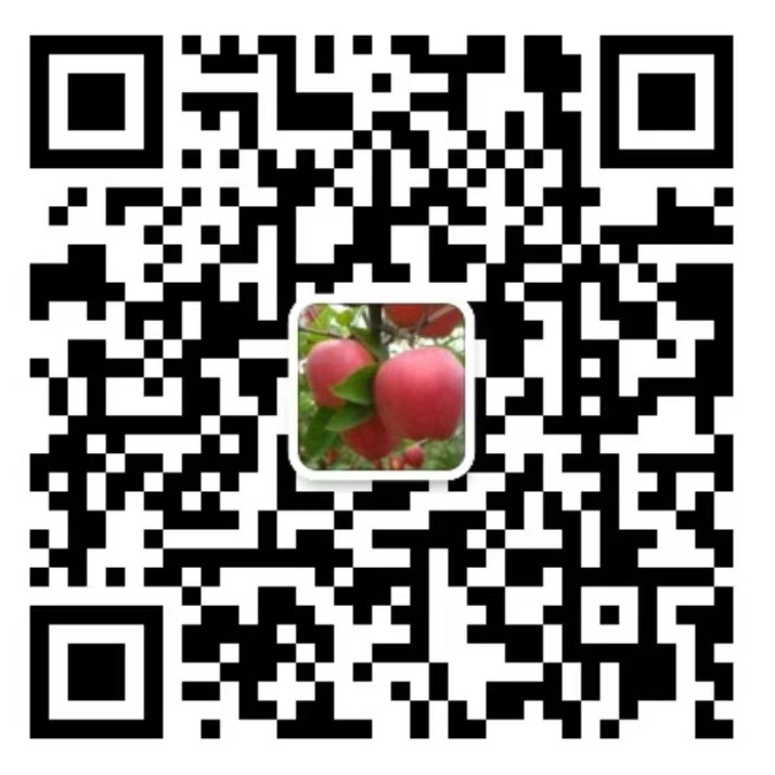follow